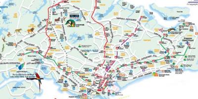 सड़क का नक्शा, सिंगापुर